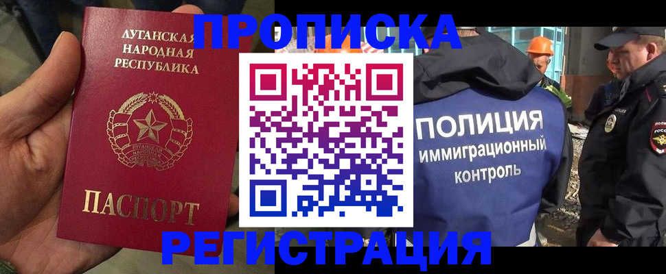 прописка поиск в Щёкино